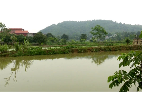 Hàng trăm hộ dân có đất trồng lúa và nuôi thủy sản ở thị trấn Bát Xát đã hết hạn sử dụng trên giấy chứng nhận quyền sử dụng đất.