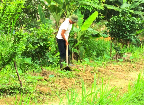 Ông Đào Mạnh Thắng có đất, có ao nhưng không dám đầu tư sản xuất vì giấy chứng nhận quyền sử dụng đất hết hạn.