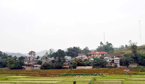 Thôn Phú Hải 2, thôn nông thôn mới (xã Phú Nhuận, huyện Bảo THắng) – nơi người Hải Phòng định cư.