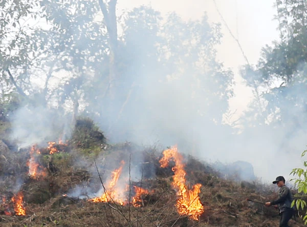 Đám cháy rừng tại xã Tả Phời đầu năm 2016. Ảnh: Đức Nguyễn