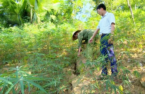 8 hộ dân xã Chiềng Ken (Văn Bàn) cận kề khu vực nguy cơ sạt lở ảnh 2