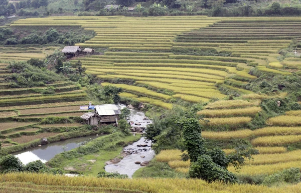 Vùng nếp Thẩm Dương. Vùng nếp Thẩm Dương.