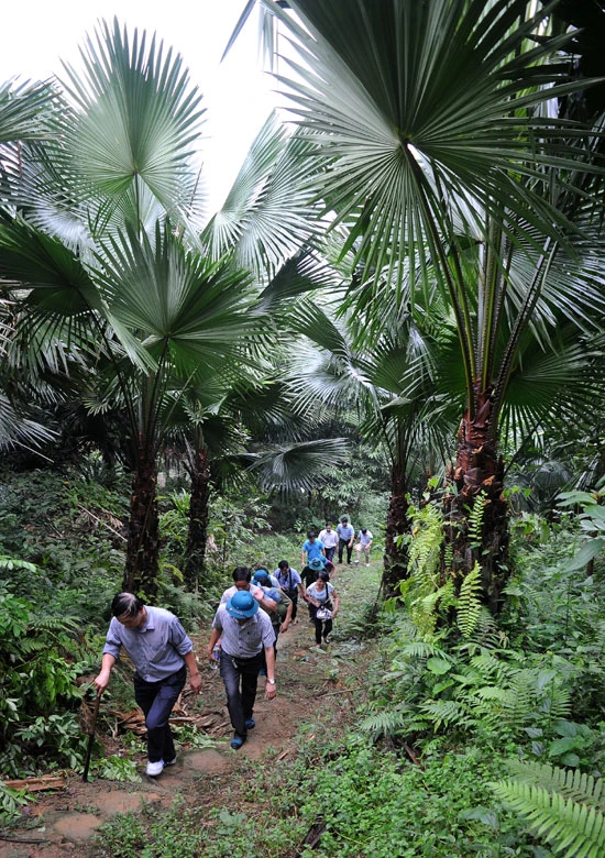 Đường vào thác Đầu Nhuần. Dưới chân tầng thác thứ 3. Đường chinh phục đỉnh thác. Tiết thu se lạnh, nhiều người vẫn tranh thủ cơ hội tắm thác Đầu Nhuần. Những đồi chè mênh mông trùng điệp tạo thêm điểm nhấn cho du khách khi tới thăm thác Đầu Nhuần. Đường vào thác Đầu Nhuần. Dưới chân tầng thác thứ 3. Đường chinh phục đỉnh thác. Tiết thu se lạnh, nhiều người vẫn tranh thủ cơ hội tắm thác Đầu Nhuần. Những đồi chè mênh mông trùng điệp tạo thêm điểm nhấn cho du khách khi tới thăm thác Đầu Nhuần.