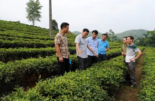 Đường vào thác Đầu Nhuần. Dưới chân tầng thác thứ 3. Đường chinh phục đỉnh thác. Tiết thu se lạnh, nhiều người vẫn tranh thủ cơ hội tắm thác Đầu Nhuần. Những đồi chè mênh mông trùng điệp tạo thêm điểm nhấn cho du khách khi tới thăm thác Đầu Nhuần. Đường vào thác Đầu Nhuần. Dưới chân tầng thác thứ 3. Đường chinh phục đỉnh thác. Tiết thu se lạnh, nhiều người vẫn tranh thủ cơ hội tắm thác Đầu Nhuần. Những đồi chè mênh mông trùng điệp tạo thêm điểm nhấn cho du khách khi tới thăm thác Đầu Nhuần.