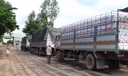 Lợi dụng chính sách khuyến khích xuất khẩu, Lê Thị Chi đã mua chuộc nhiều cán bộ hải quan để làm hồ sơ khống, chiếm đạt hàng chục tỷ đồng tiền hoàn thuế GTGT.