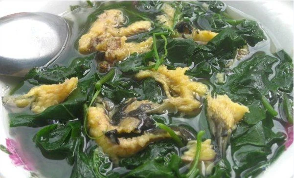 Rau mồng tơi nấu cá trê vàng tác dụng thanh nhiệt dưỡng âm, giúp da tươi nhuận, hồng hào. Rau mồng tơi nấu cá trê vàng tác dụng thanh nhiệt dưỡng âm, giúp da tươi nhuận, hồng hào.