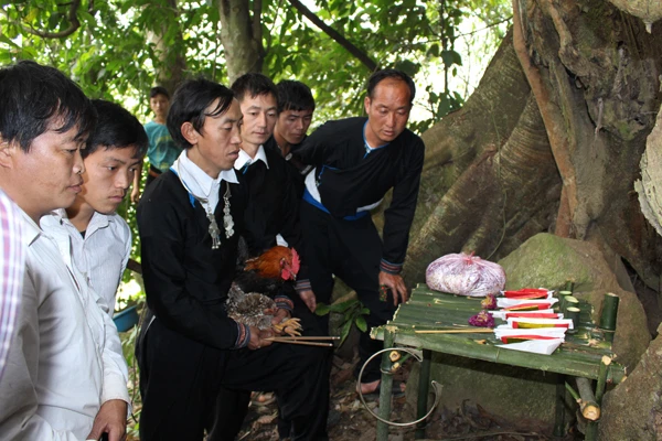 Lễ cúng rừng của người Mông xã Cốc Mỳ (Bát Xát) ảnh 2