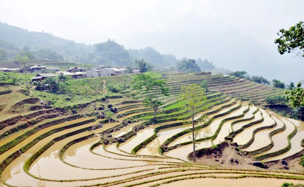 Ruộng bậc thang xã Nàn Sín mùa nước đổ.