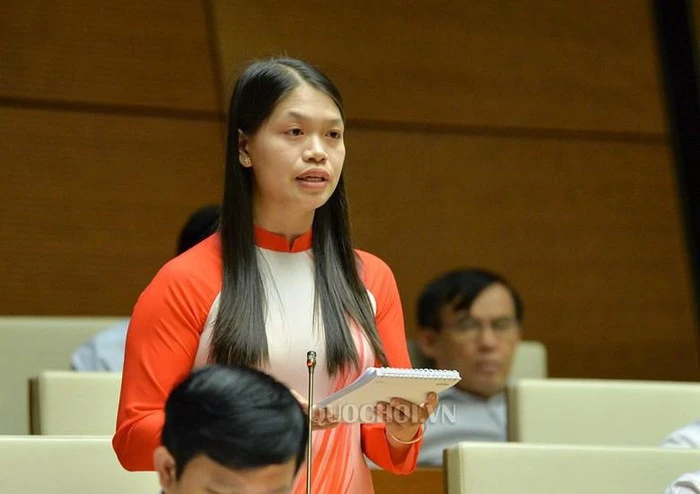 Đại biểu Đinh Thị Bình (Phú Thọ).