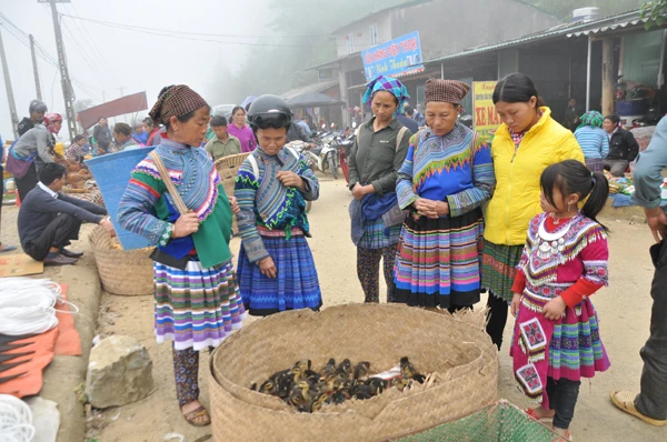 Chợ phiên Sín Chéng họp vào sáng thứ 4 hàng tuần, là nơi trao đổi, buôn bán, giao lưu của đồng bào các dân tộc vùng cao Si Ma Cai. Vào ngày chợ phiên, nhiều du khách nước ngoài đến thăm chợ và mua đồ lưu niệm. Du khách nước ngoài ghi lại hình ảnh đẹp về đồng bào các dân tộc Si Ma Cai. Khám phá khu ẩm thực dân dã nhưng đầy bản sắc. Vui vẻ trò chuyện, giao lưu với đồng bào Mông. Một số du khách thích thưởng thức đồ nướng ngay tại chợ phiên. Chợ Sín Chéng trở thành nơi giao lưu, gặp gỡ của các đoàn du khách từ nhiều quốc gia khác nhau. Gia đình một du khách cảm thấy rất hài lòng khi thăm chợ phiên Sín Chéng. Hình ảnh du khách nước ngoài tại chợ phiên Sín Chéng minh chứng cho thấy đây là điểm đến du lịch hấp dẫn.