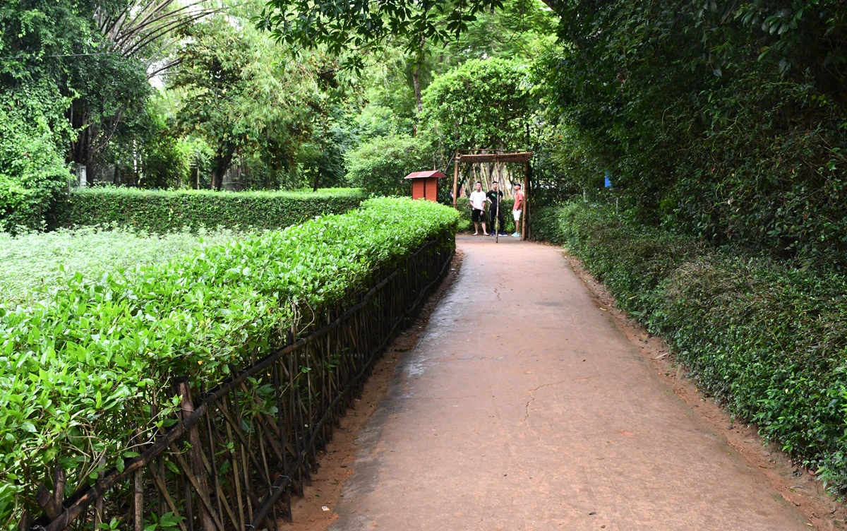 Đường vào ngôi nhà ở quê nội của Bác tại làng Sen. Ngôi nhà bình dị, mang đậm dáng dấp những ngôi nhà miền quê của người Việt. Mỗi người dân khi đến đây đều xúc động trước mái nhà tranh đơn sơ, nhưng rất gần gũi. Du khách đến đây sẽ được lắng nghe những câu chuyện xúc động kể về làng Sen, về chuyến hành trình Bác trở về quê hương sau nhiều năm bôn ba. Làng Hoàng Trù cách làng Sen khoảng 2 km, cùng thuộc xã Kim Liên, huyện Nam Đàn. Nơi đây có cụm di tích Hoàng Trù, nơi Chủ tịch Hồ Chí Minh ra đời. Điểm đầu tiên là ngôi nhà cụ Hoàng Đường (ông ngoại Bác Hồ) và nhà thờ chi nhánh họ Hoàng Xuân (họ ngoại của Bác). Ngôi nhà cũng là nơi thân mẫu của Bác Hồ - Hoàng Thị Loan sinh ra và lớn lên, là nơi thân phụ của Bác Hồ - Nguyễn Sinh Sắc học tập. Góc vườn phía Tây là ngôi nhà của thân phụ Nguyễn Sinh Sắc và thân mẫu Hoàng Thị Loan của Bác khi hai người nên duyên vợ chồng. Ngôi nhà này là nơi Chủ tịch Hồ Chí Minh ra đời và gắn bó những năm tháng tuổi thơ. Những cuốn sách cũ là tài liệu quý để cụ Phó bảng Nguyễn Sinh Sắc đỗ đạt thành tài, gieo những tri thức đầu tiên cho Chủ tịch Hồ Chí Minh. Sau nửa thế kỷ bôn ba vì nước, đến ngày 9/12/1961, Chủ tịch Hồ Chí Minh mới có dịp về thăm lại làng Hoàng Trù. Đây cũng là lần cuối cùng Người về thăm nơi chôn nhau cắt rốn cho đến khi Người đi xa.