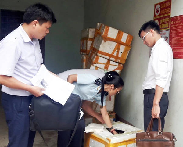 Các đơn vị phối hợp kiểm tra lô hàng.