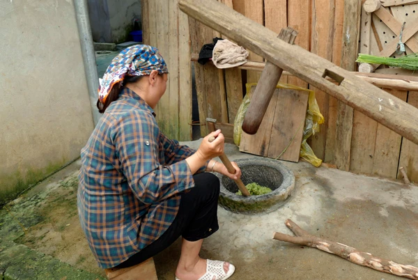 Chị Vàng Thị Chứ là 1 trong 3 hộ dân ở thôn Na Pắc Ngam, xã Tà Chải (Bắc Hà) còn giữ được nghề làm cốm truyền thống. Lúa làm cốm là nếp cái hoa vàng, được hái khi vừa rủ bông, bấm tay vẫn còn căng sữa. Thóc được đem đi rửa sạch, đãi bỏ hạt lép... ...rồi cho vào chảo rang trên bếp củi trong khoảng 15-20 phút cho đến khi chín đều, dậy mùi thơm. Thóc sau khi rang chín sẽ được cho vào máy xát để loại bỏ vỏ. Trước đây, không có máy xát, người dân phải đổ vào cối giã bằng tay, mất khá nhiều công sức và thời gian. Cốm được cho vào cối giã cho mềm và dẻo hơn. Cốm được gói bằng lá dong để giữ nguyên hương vị thơm ngon, độ mềm, dẻo. Mỗi mùa cốm đem về cho gia đình làm cốm ở Bắc Hà nguồn thu từ 30 - 40 triệu đồng.