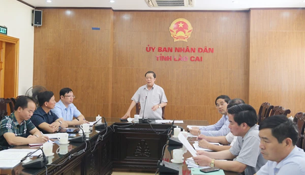 Phó Chủ tịch UBND tỉnh Nguyễn Thanh Dương phát biểu chỉ đạo tại cuộc họp.