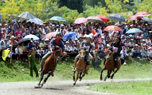 Tỉnh Lào Cai tổ chức Festival “Vó ngựa cao nguyên trắng Bắc Hà”.