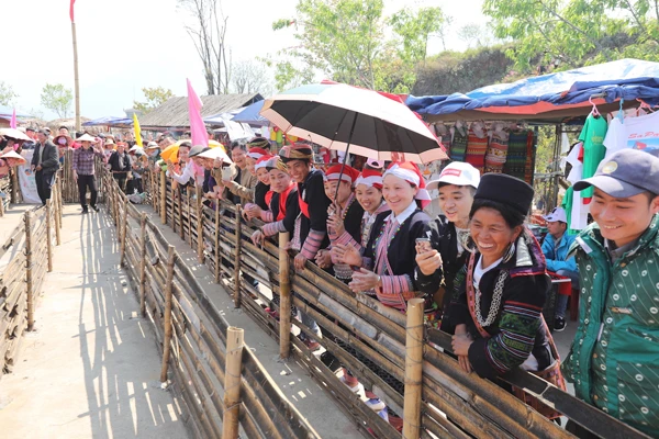 Cả đồi hoa tím đẹp ngỡ ngàng ở Fansipan, cần gì đi châu Âu ngắm lavender? ảnh 11