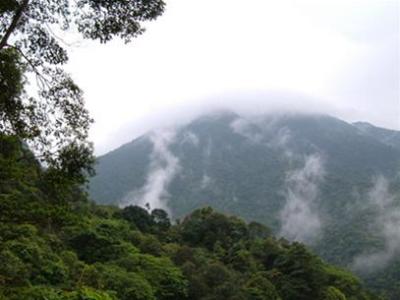 Vườn quốc gia Bạch Mã được đánh giá là một điểm đến không thể thiếu trong tour du lịch đến miền Trung. Vườn quốc gia Bạch Mã được đánh giá là một điểm đến không thể thiếu trong tour du lịch đến miền Trung.