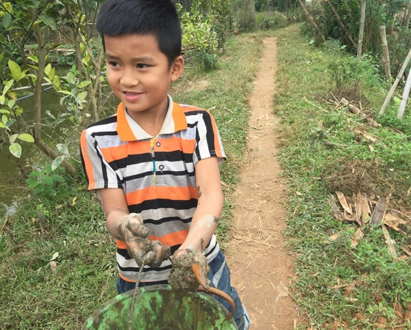 “Chiến lợi phẩm” của một ngày đi bắt lươn đồng.