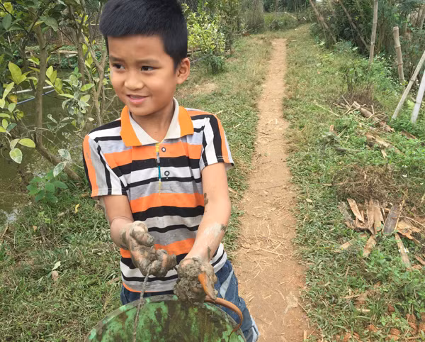 “Chiến lợi phẩm” của một ngày đi bắt lươn đồng. “Chiến lợi phẩm” của một ngày đi bắt lươn đồng.
