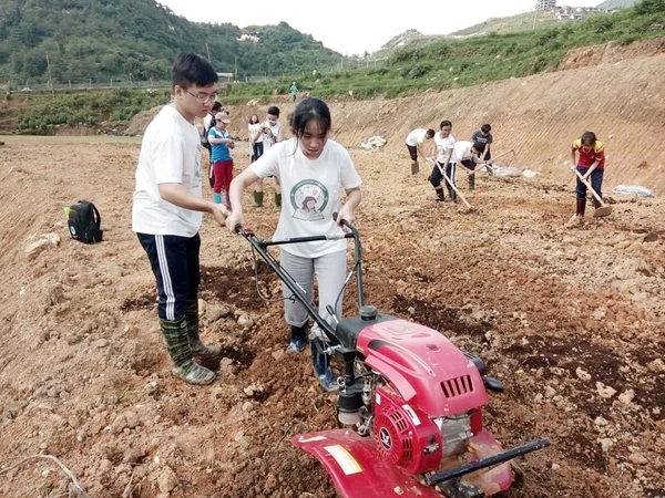 Các tình nguyện viên tham gia xây dựng Sa Pa Hope Garden.