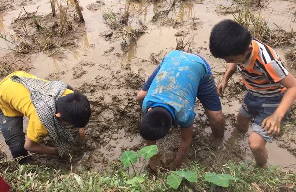 Lũ trẻ lấm lem bắt lươn đồng. Lũ trẻ lấm lem bắt lươn đồng.