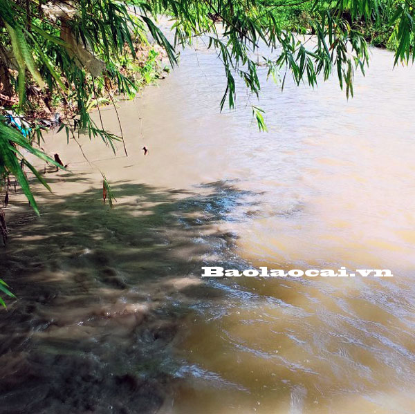 Nước suối Khe Peo.