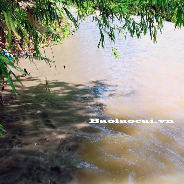 Nước suối Khe Peo.
