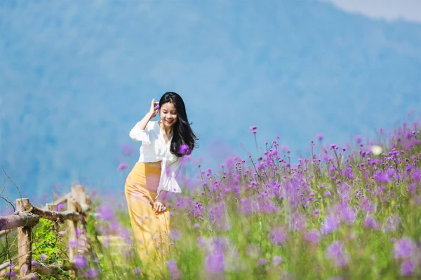 Cả đồi hoa tím đẹp ngỡ ngàng ở Fansipan, cần gì đi châu Âu ngắm lavender? ảnh 4