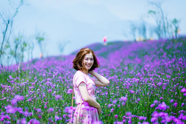 Cả đồi hoa tím đẹp ngỡ ngàng ở Fansipan, cần gì đi châu Âu ngắm lavender? ảnh 2