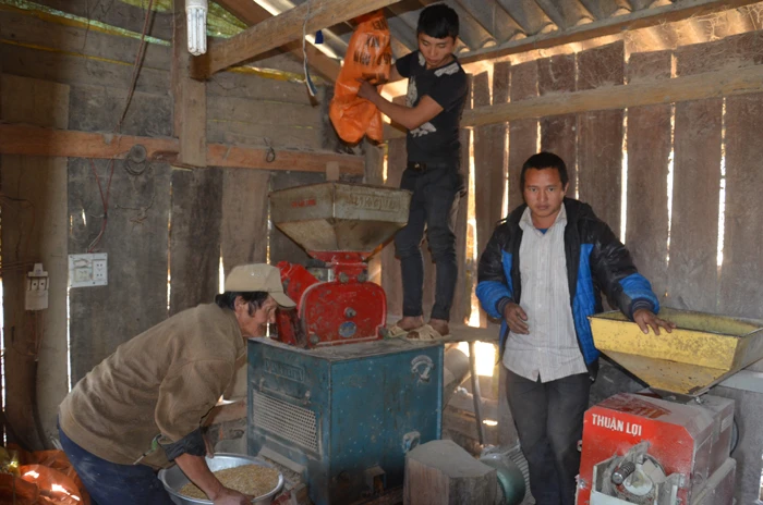 Máy xay xát được hỗ trợ bằng nguồn vốn Chương trình 135 được giao cho gia đình ông Sùng A Gió trực tiếp quản lý và vận hành.