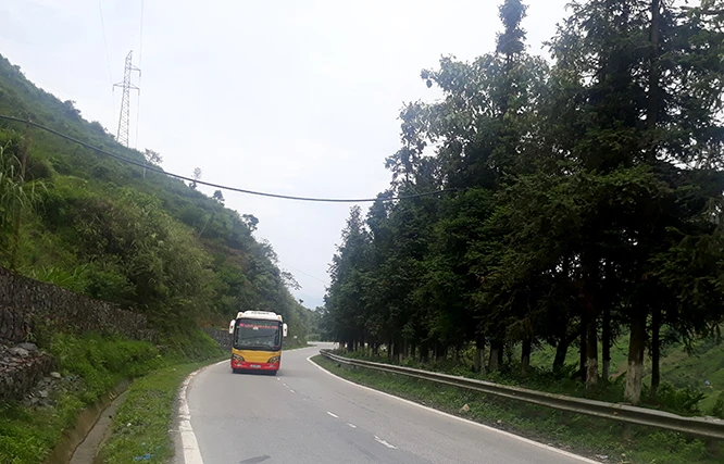 Các phương tiện lưu thông bình thường trên Quốc lộ 4D. Các phương tiện lưu thông bình thường trên Quốc lộ 4D.