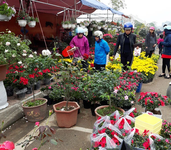 Nhiều khách hàng chọn mua hoa tươi ngày cuối năm. Nhiều khách hàng chọn mua hoa tươi ngày cuối năm.