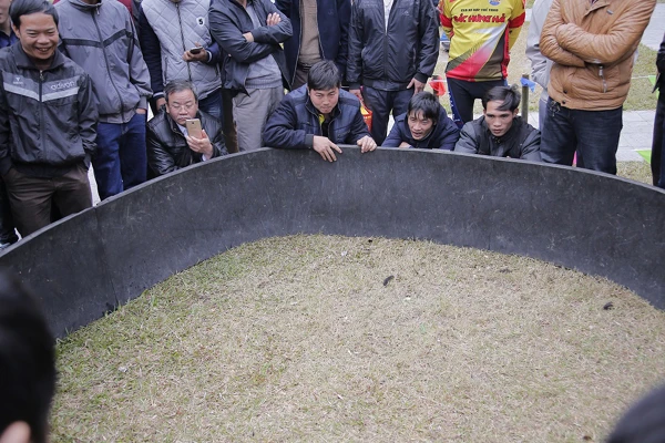 Nhiều trò chơi dân gian được tổ chức tại Lễ hội đền Thượng ảnh 3