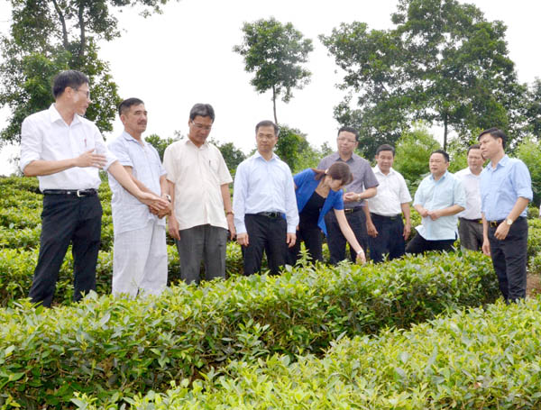 Thăm mô hình kinh tế tổng hợp của ông Phan Văn Ký (thôn Phú Hải 3). Xưởng sản xuất, chế biến lâm sản của anh Trần Văn Xuyên tạo việc làm thường xuyên cho 40 lao động trong xã. Thăm mô hình kinh tế tổng hợp của ông Phan Văn Ký (thôn Phú Hải 3). Xưởng sản xuất, chế biến lâm sản của anh Trần Văn Xuyên tạo việc làm thường xuyên cho 40 lao động trong xã.