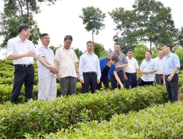 Thăm mô hình kinh tế tổng hợp của ông Phan Văn Ký (thôn Phú Hải 3). Xưởng sản xuất, chế biến lâm sản của anh Trần Văn Xuyên tạo việc làm thường xuyên cho 40 lao động trong xã.