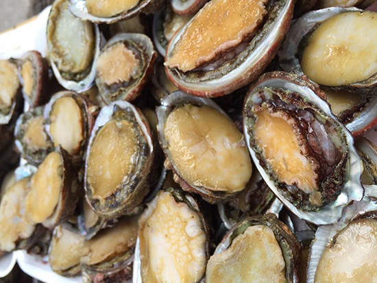 Bào ngư là món ăn dành cho vua chúa thời xưa.