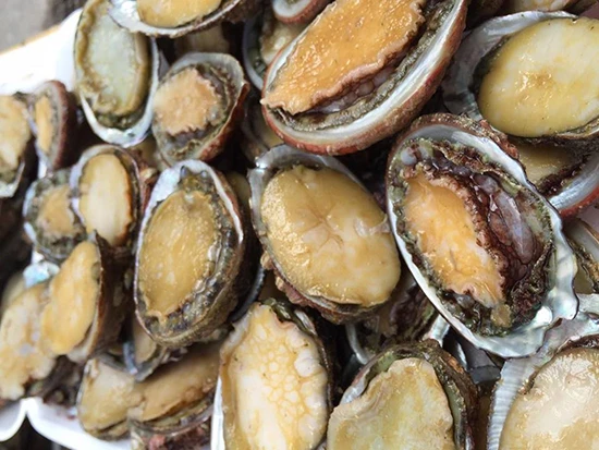 Bào ngư là món ăn dành cho vua chúa thời xưa.