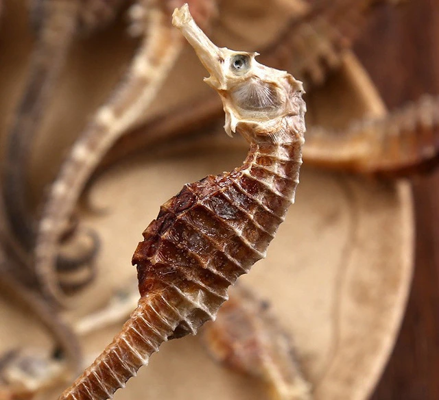 Cá ngựa khô có thể dùng ngâm rượu hoặc chế biến món ăn.