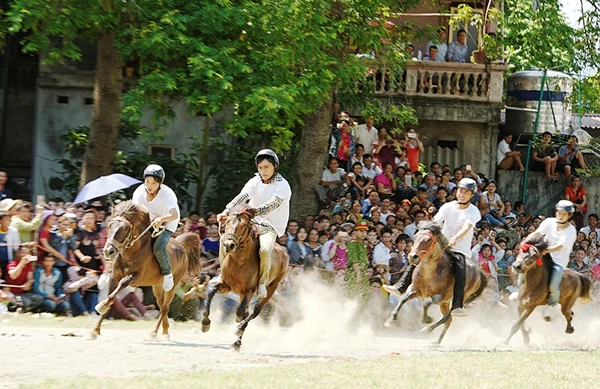 Giải đua ngựa truyền thống huyện Bắc Hà luôn được du khách trong và ngoài nước quan tâm.