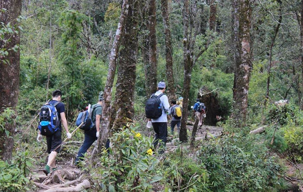 Trên đường chinh phục Fansipan. Trên đường chinh phục Fansipan.