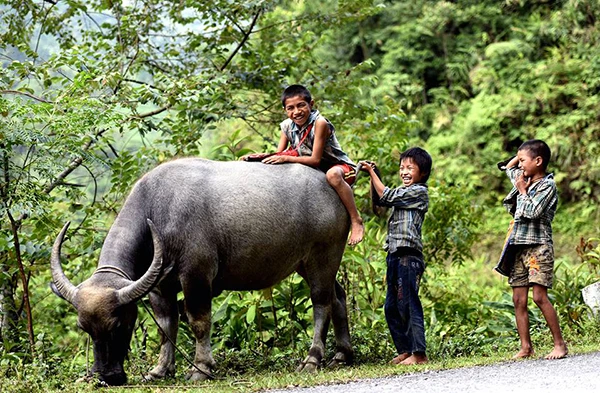 Ngày hè của trẻ em vùng cao Lào Cai ảnh 7 Ngày hè của trẻ em vùng cao Lào Cai ảnh 7