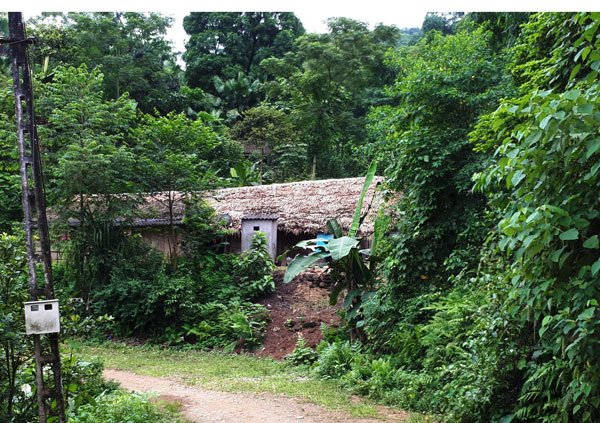 Một nhà dân tại thôn Tà Chủ, xã Nậm Mả (Văn Bàn) có nguy cơ bị vùi lấp do sạt núi. (Ảnh do Phòng Nông nghiệp và Phát triển nông thôn huyện Văn Bàn cung cấp). Một nhà dân tại thôn Tà Chủ, xã Nậm Mả (Văn Bàn) có nguy cơ bị vùi lấp do sạt núi. (Ảnh do Phòng Nông nghiệp và Phát triển nông thôn huyện Văn Bàn cung cấp).