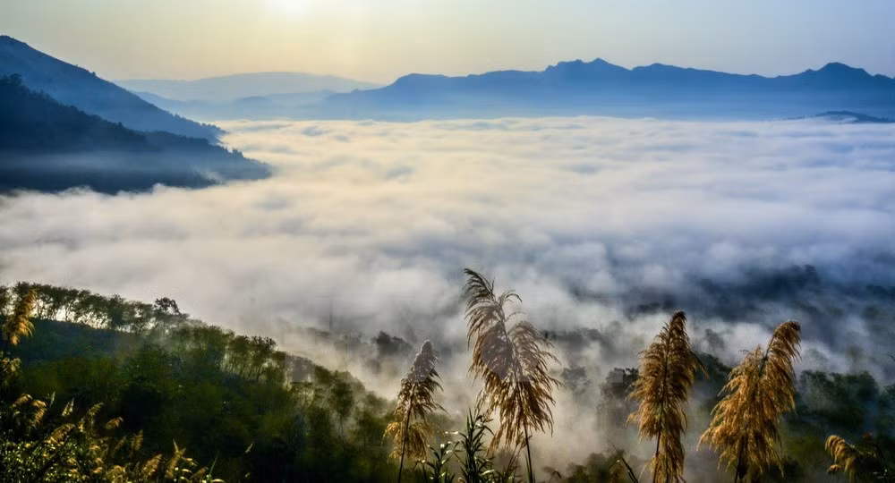 Biển mây nhìn từ trên đèo Tằng Quái.