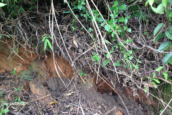 Một điểm nứt trên núi Can Thàng. (Ảnh do Ban Chỉ đạo Phòng, chống thiên tai và Tìm kiếm cứu nạn tỉnh cung cấp). Một điểm nứt trên núi Can Thàng. (Ảnh do Ban Chỉ đạo Phòng, chống thiên tai và Tìm kiếm cứu nạn tỉnh cung cấp).