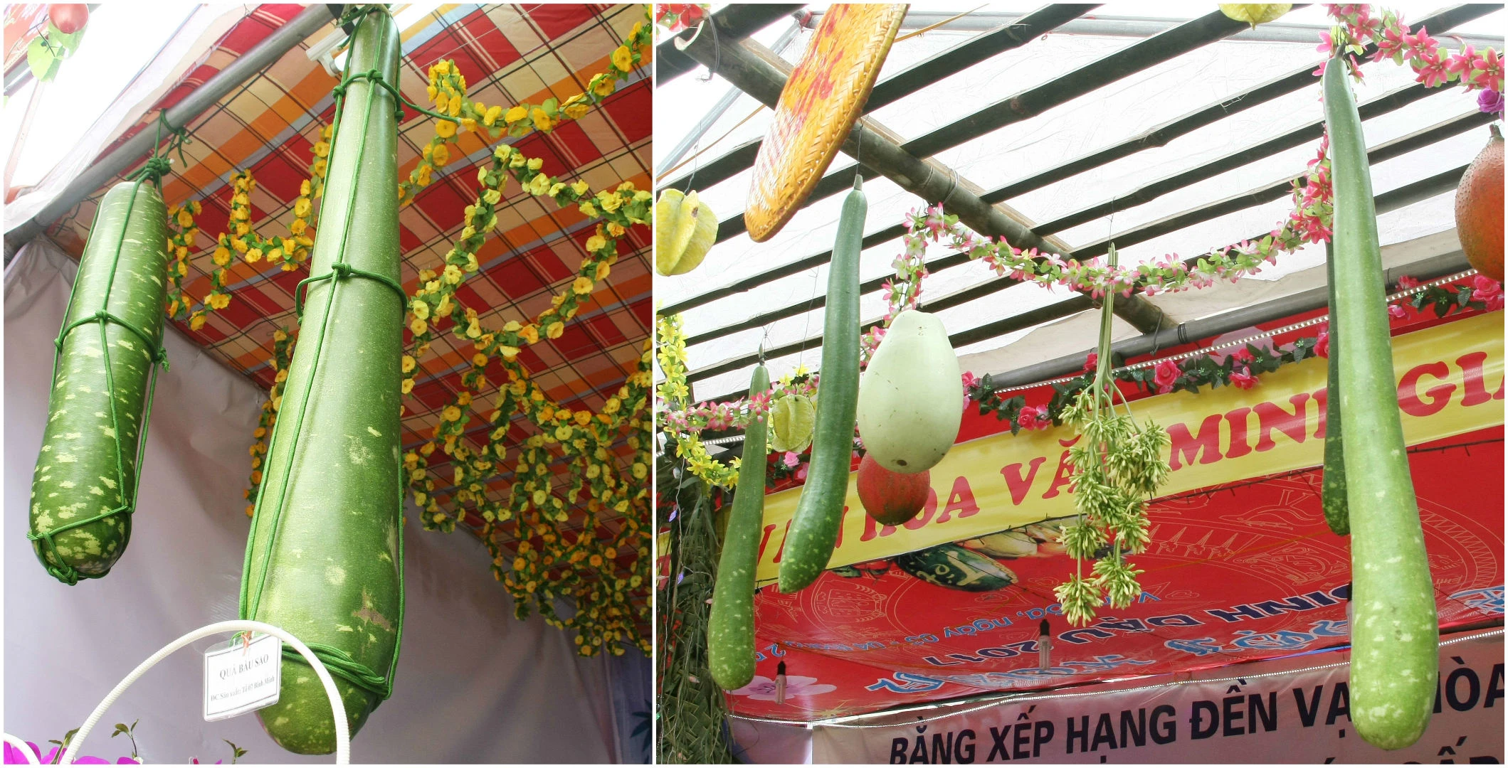 Nhiều mặt hàng nông sản “ độc” trưng bày tại Lễ hội đền Thượng ảnh 6