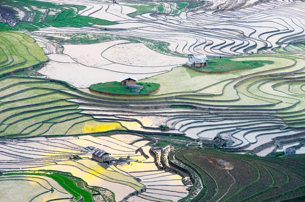 Ruộng bậc thang Thền Pả thu hút nhiều du khách đến tham quan, chiêm ngưỡng. Ảnh: Ngọc Bằng