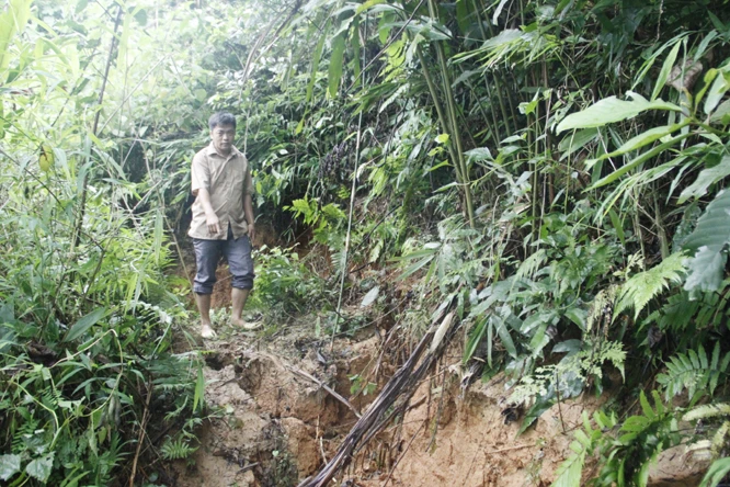 Vết nứt đồi ở thôn Tà Chủ dài hơn 30 mét, rộng từ 0,4 - 0,8 mét.