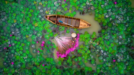 Dù có nhiều tác phẩm đẹp nhưng ảnh chụp bằng flycam vẫn chưa được nhiều người đánh giá cao (Ảnh mang tính chất minh họa).