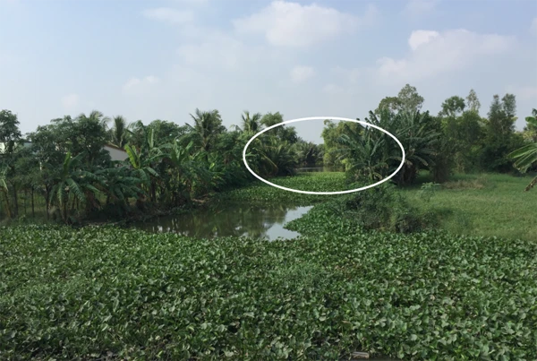 Vịnh Đôi Ma (trong vòng tròn) hiện tại chỉ là một khúc rạch uốn cong, lục bình đã mọc kín cả bề mặt, hai bên con rạch vẫn còn ít người sinh sống. Vịnh Đôi Ma (trong vòng tròn) hiện tại chỉ là một khúc rạch uốn cong, lục bình đã mọc kín cả bề mặt, hai bên con rạch vẫn còn ít người sinh sống.