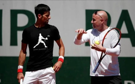 Wimbledon 2017: Đợi Novak Djokovic trở lại là “con sói chạy trên ngọn đồi“ ảnh 1